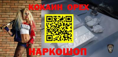 крисы Новозыбков