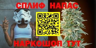 МДПВ Обнинск
