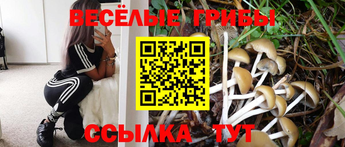 Псилоцибиновые грибы GOLDEN TEACHER Ноябрьск
