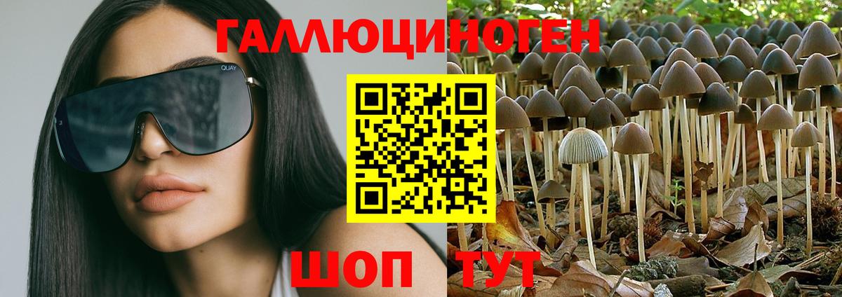 Ноябрьск  Галлюциногенные грибы прущие грибы  Вход с VPN  Галлюциногенные грибы GOLDEN TEACHER 
